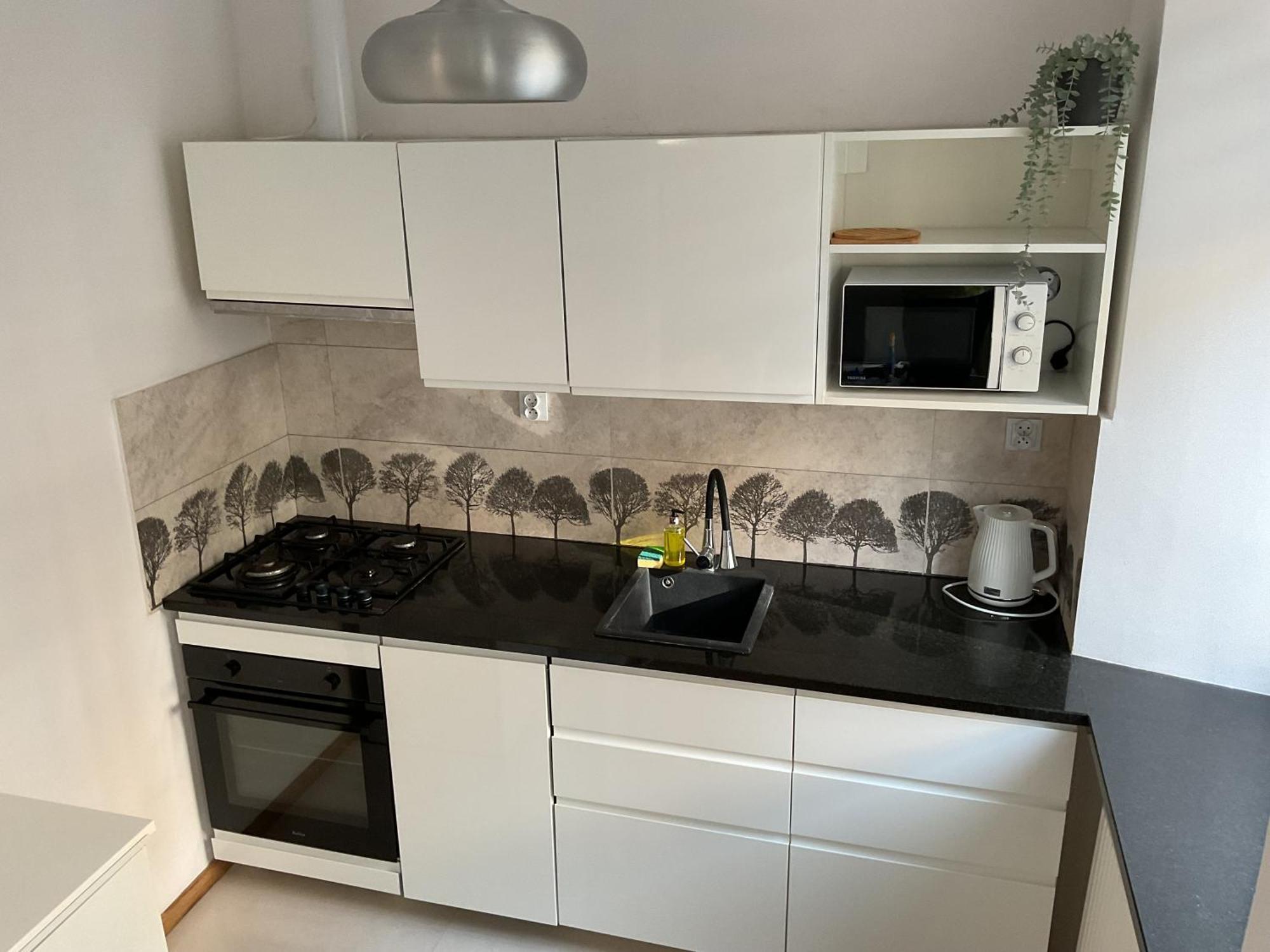 Appartamento Omorika Na Zamkowej Cracovia Esterno foto