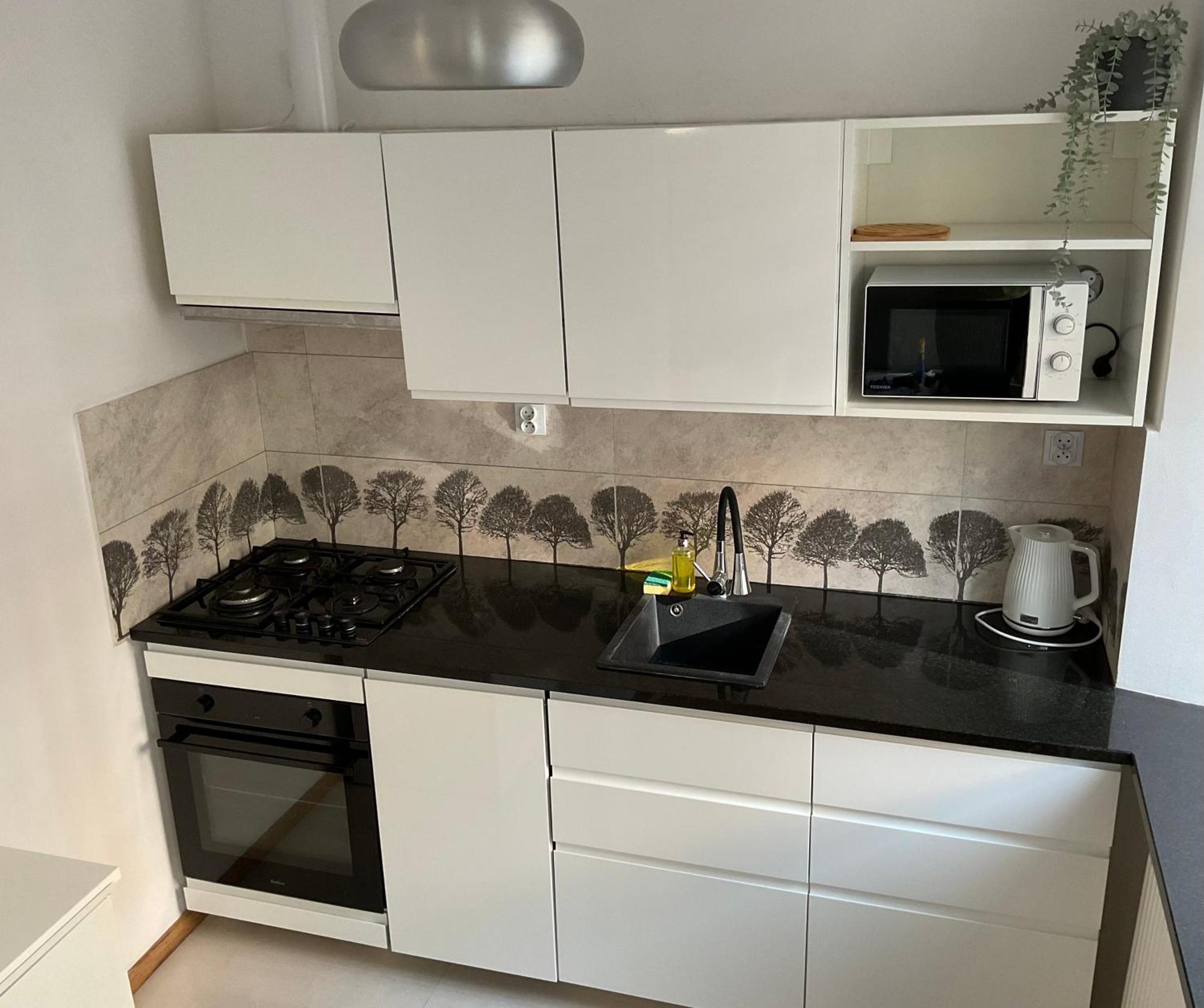Appartamento Omorika Na Zamkowej Cracovia Esterno foto